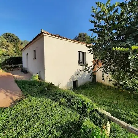 Maison T2 Au Pied Du Mont Gozzi Afa