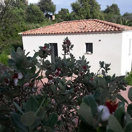 Maison T2 Au Pied Du Mont Gozzi Сasa de vacaciones
